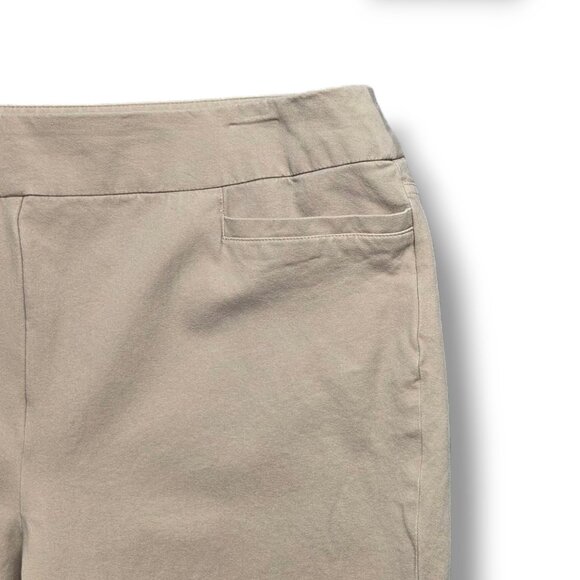 Soft Surroundings Superla Stretch Pants Womens Large Beige Skinny Ankle‎ STAIN - Picture 3 of 9